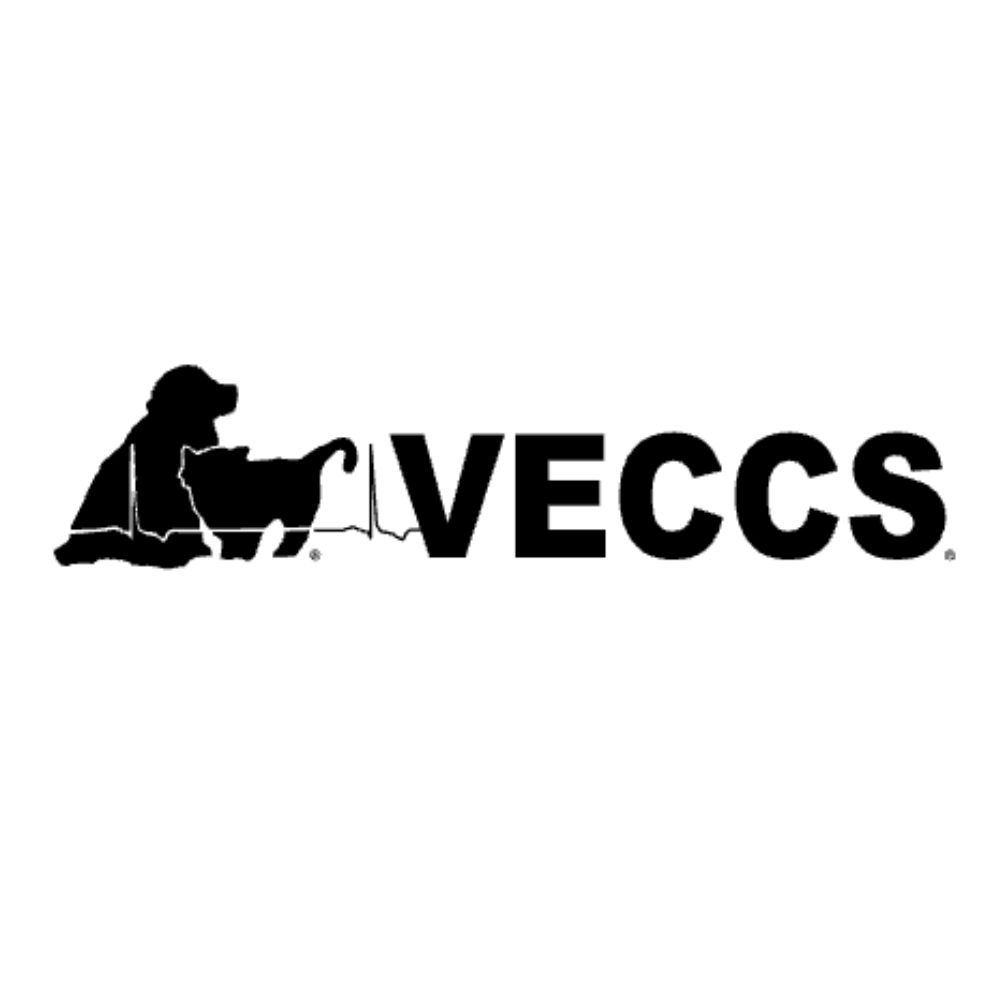 VECCS Logo 2 (500 x 500 px)
